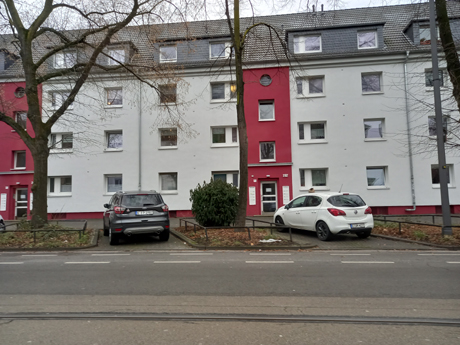 Koeln Poll